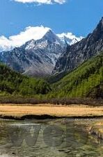 世界杯阿根廷对韩国-阿根廷与韩国，世界杯赛场上的激情碰撞